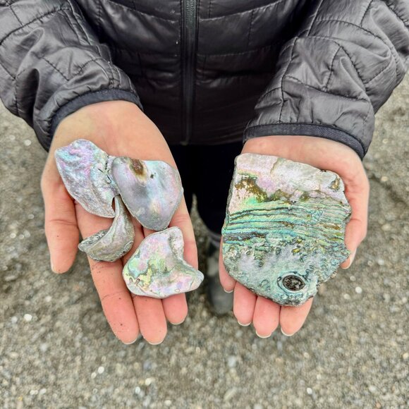 Hi! - Picture 1 of 1